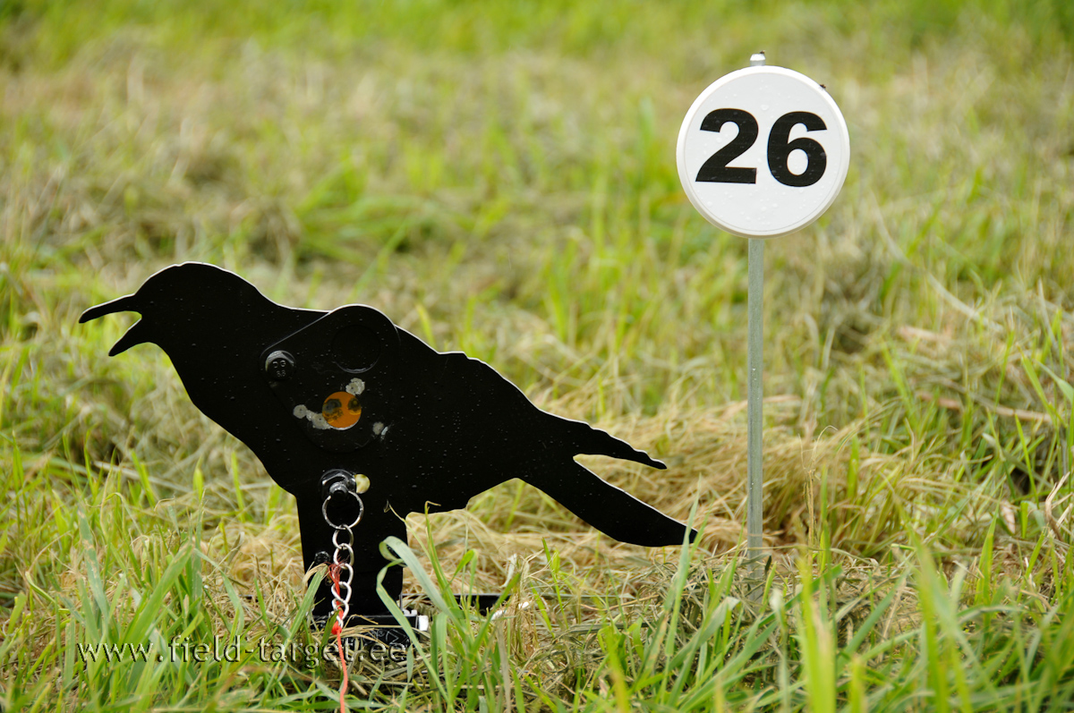 Vares 20 mm. See polegi alati nii lihtne